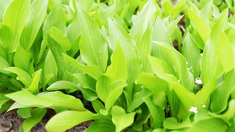 摄影图腾不能少的一块拼图-富图宝空气二号