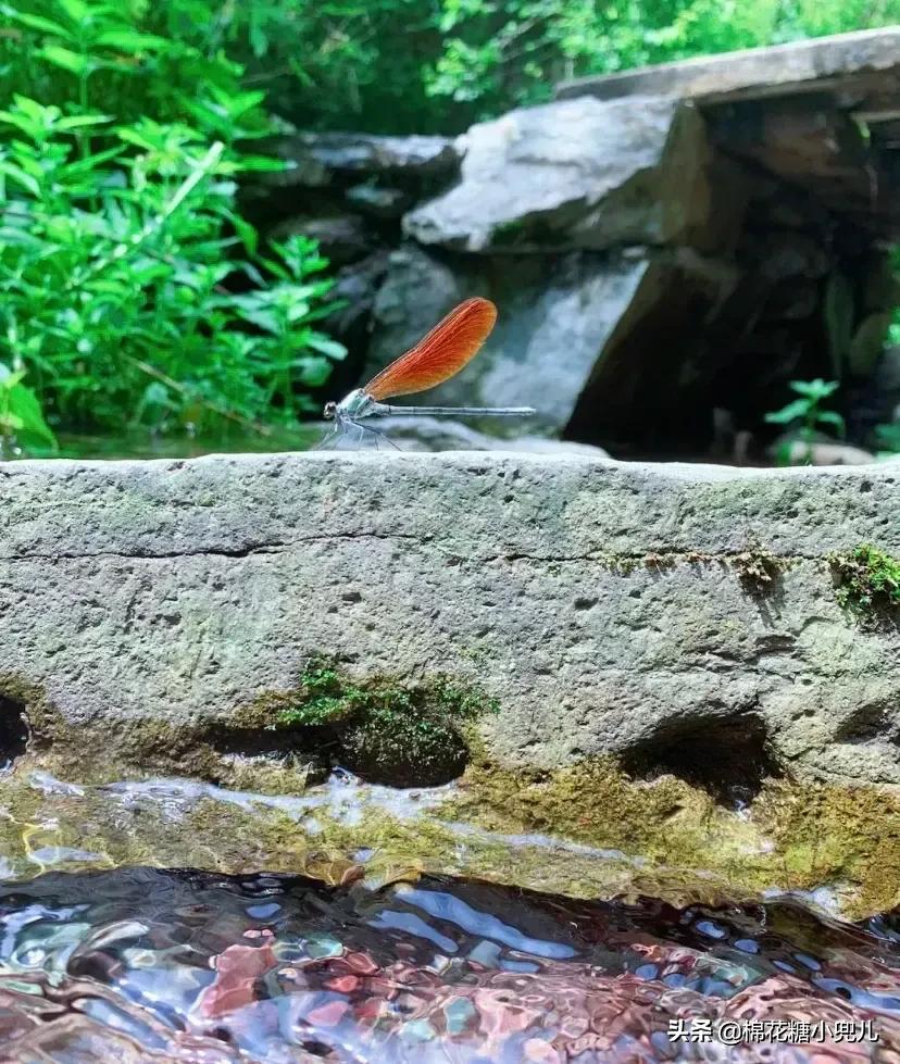 北京双龙峡自然风景区图片大全,北京双龙峡自驾游
