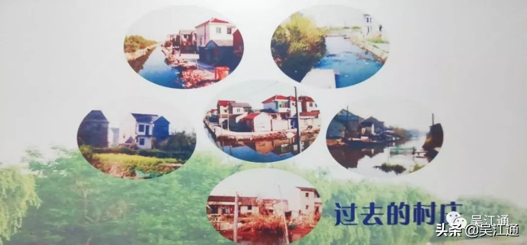 洗脚上岸,洗脚上岸读历史