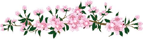 小学英语听读大全,小学英语每日听读训练免费