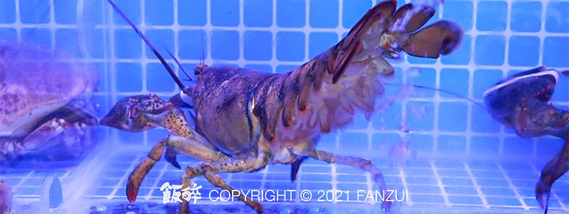 深夜组局新坐标！珠海「潮牌海鲜大排档」来了