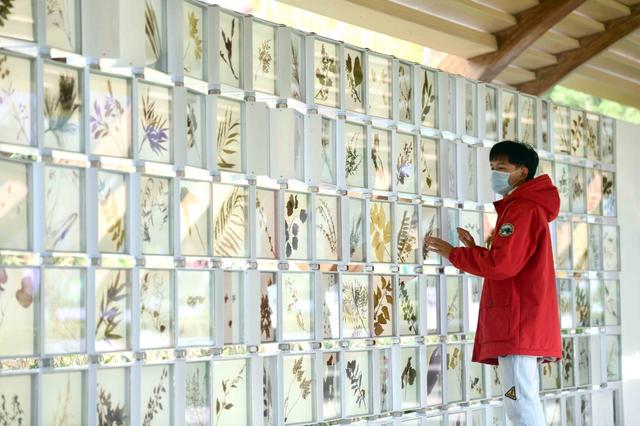 北京最美地铁学校,北京大学最美的景点