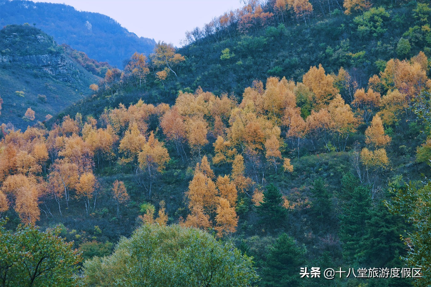 张家口有什么峡谷,张家口有什么大峡谷