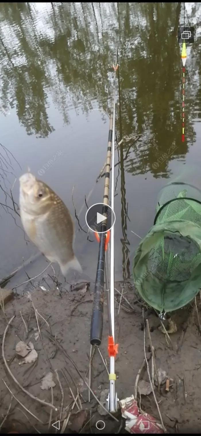 探钓废旧鱼塘之断竿,一波三折