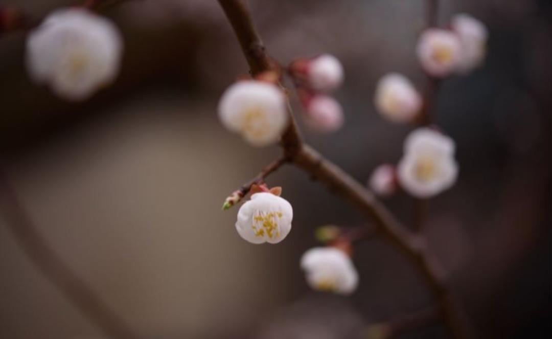 补脾胃健脾胃最简单的方法,给脾胃虚弱孩子的按摩手法