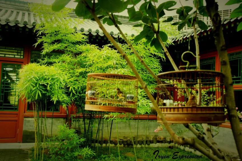 中国人的院子是什么样的,中国最美最好的院子