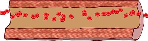 娜扎长筒袜,娜扎瘦腿袜