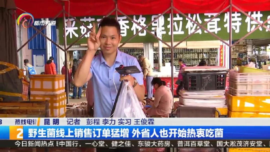 云南菌子交易市场直播,专门卖菌子直播