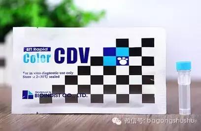 狗狗得了犬瘟用什么药,狗狗犬瘟怎么传播