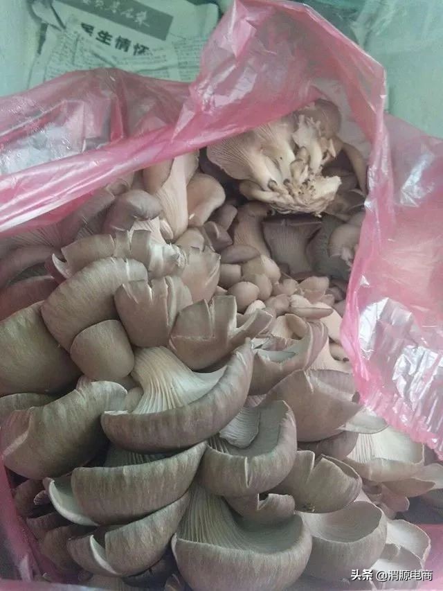 家门口的便利交通,家门口的便利店为我们带来了便利