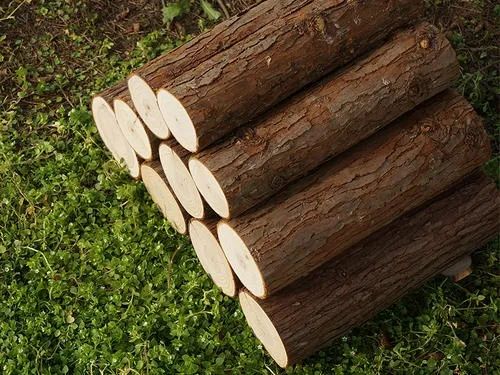 十大女生公认最好闻的男士淡香水,香水什么味道好闻男生