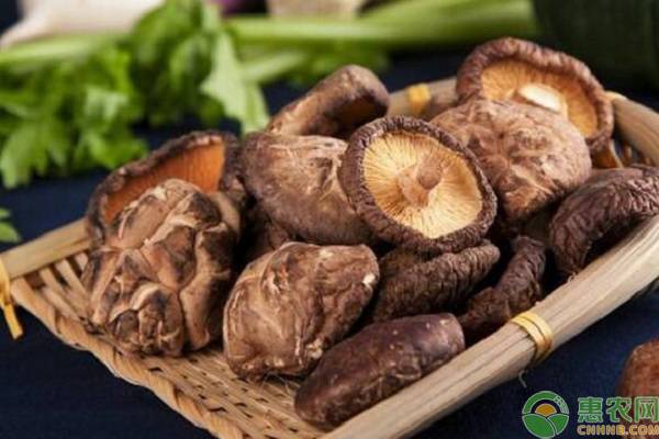 干香菇价格行情近5天,干香菇行情怎么查