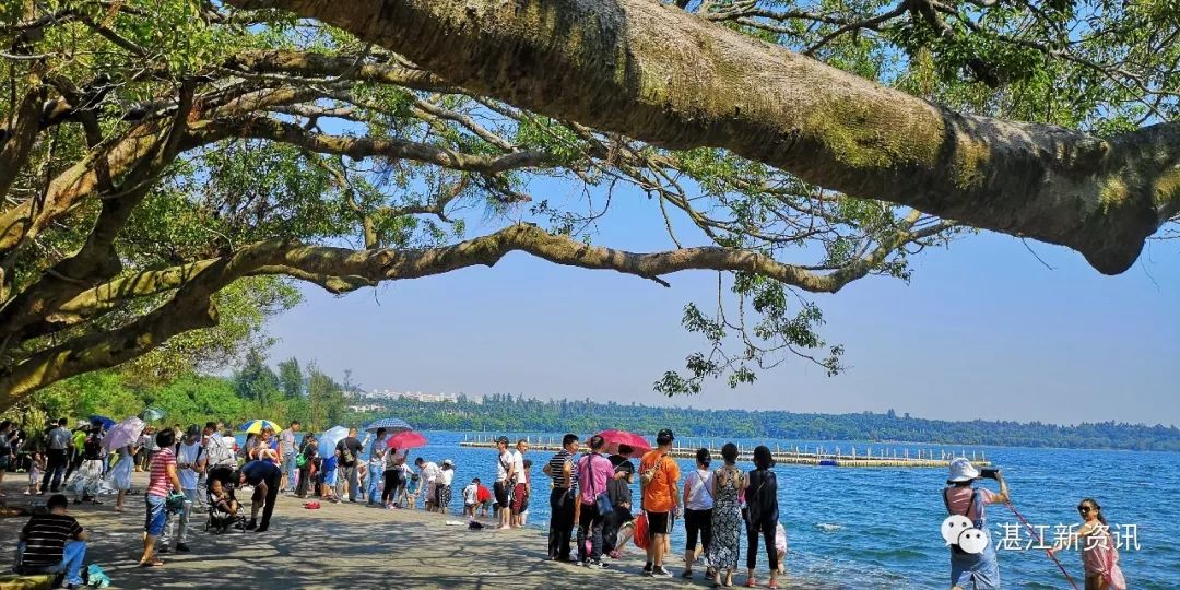 蓝天白云湖面碧波荡漾天然氧吧,湖光岩大自然天然氧吧