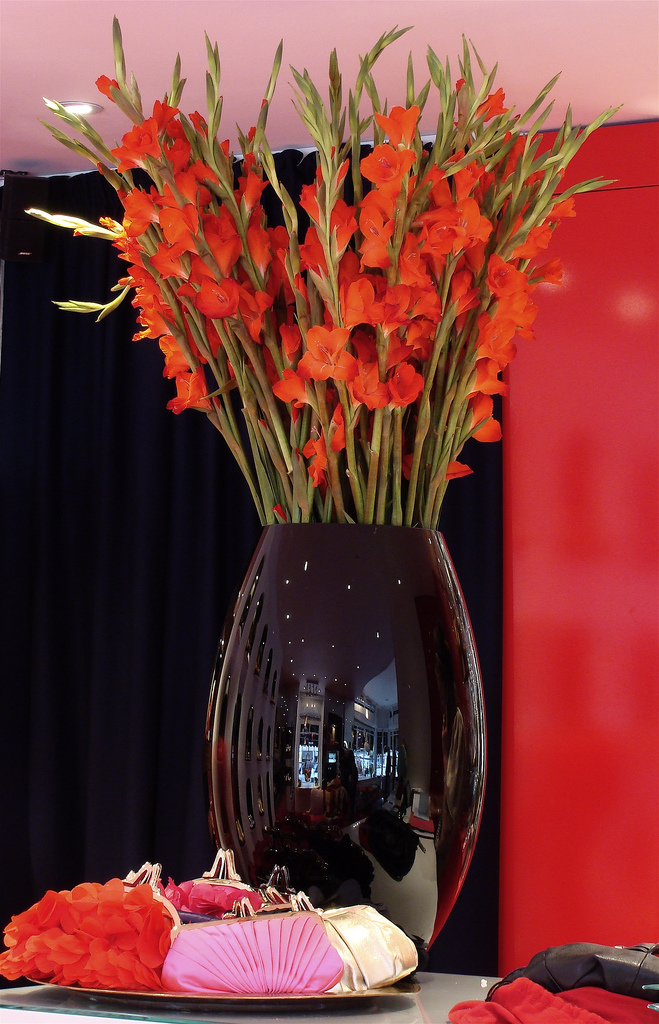 花店名字简洁大气洋气,开花店取名需要注意什么忌讳