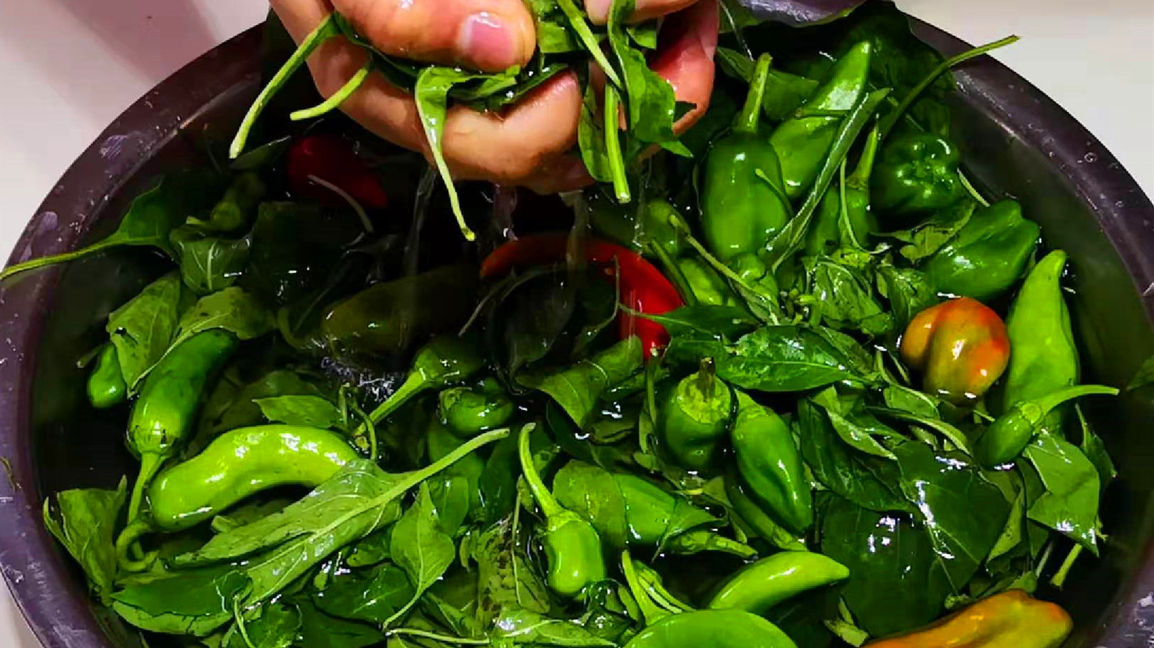 腌辣椒的正确腌法,腌辣椒有没有不要整个腌的方法