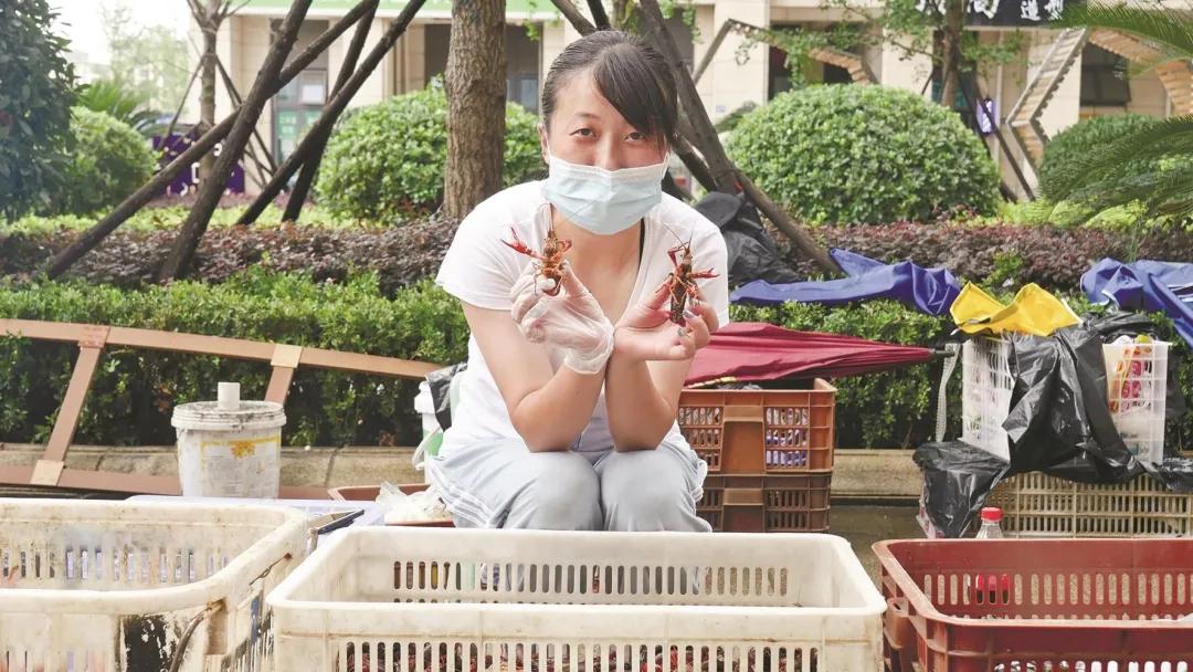 飞来飞去的工作有哪些,飞了飞去的工作