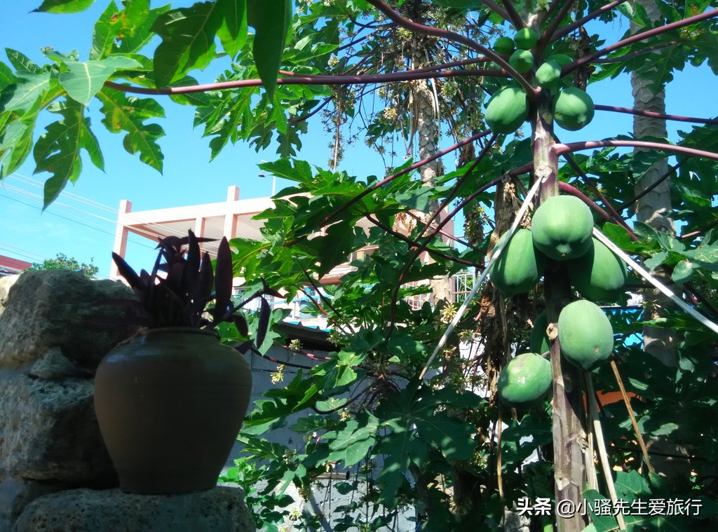 上海到北海五日游攻略,上海到北海6天5晚旅游价格多少