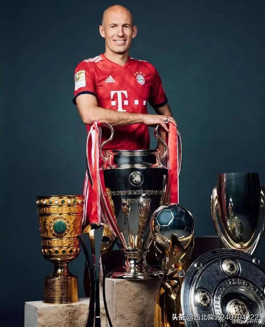 罗本退役足坛评论,罗本退役国家队