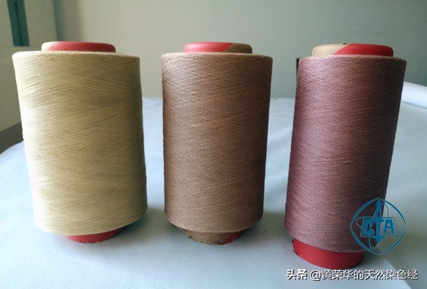 植物染色染黑步骤,植物染色过程