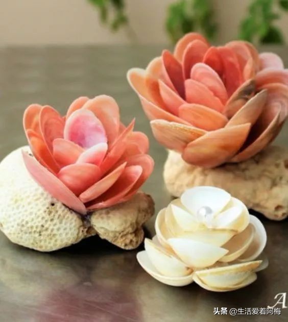 在贝壳里做上好看的装饰,简单的贝壳的工艺品