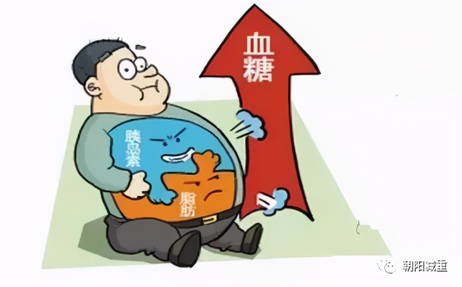 超重和肥胖对健康的危害