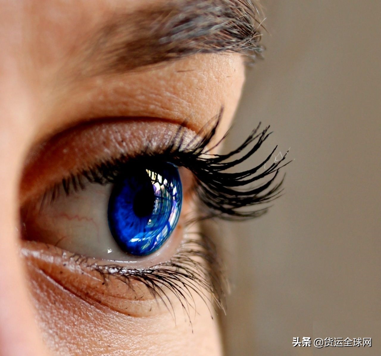 平时经常遇到的外贸术语缩写,外贸术语常用缩写大全