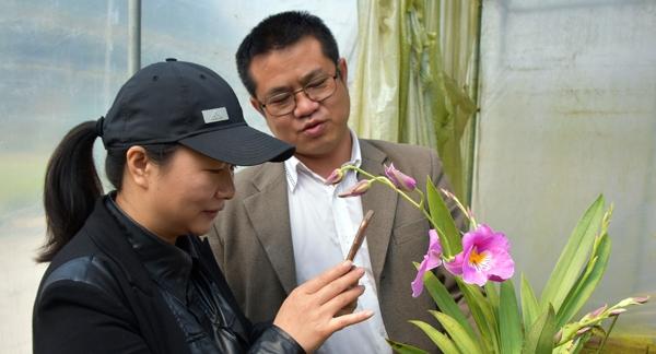 大叔种5亩麦子卖了多少钱,大叔种菜一年5000万