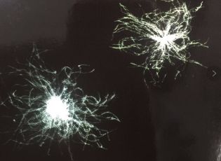 鸭羽绒好还是鹅绒衣服好,鸭毛绒和鹅绒的区别