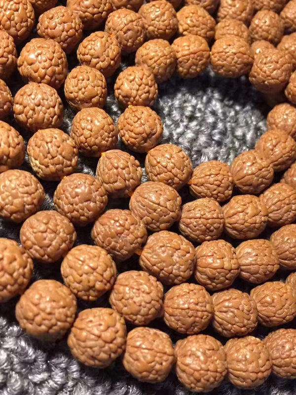 金刚菩提最全纹路解析,大金刚菩提纹路种类图解