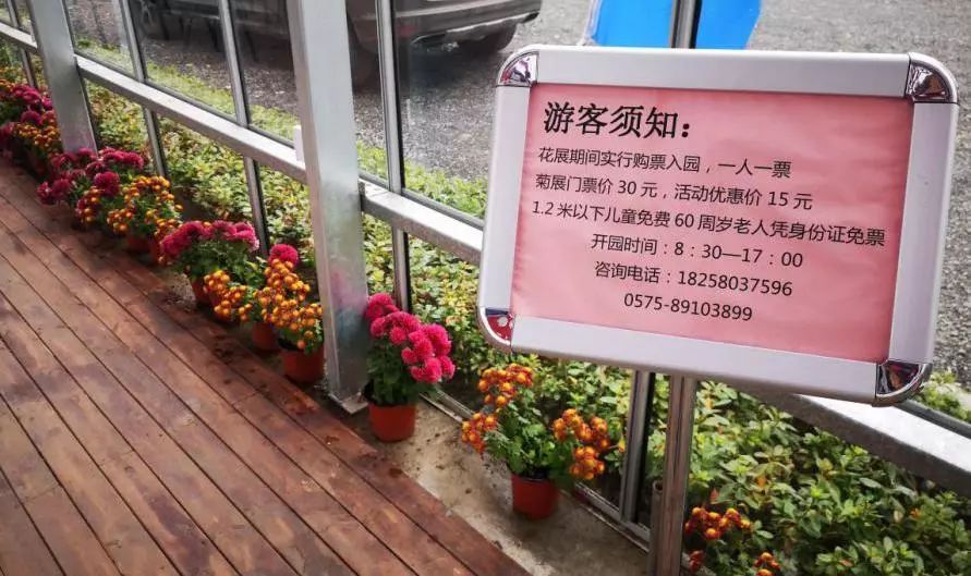转发此推文,享绍兴平水海丰菊园半价票,更更更送自采菊花一束