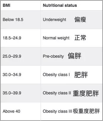摇一摇减肥工具,减肥工具振动器