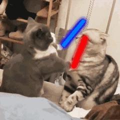 qq表情包套路表情包,表情包可爱动态图微信聊天表情包