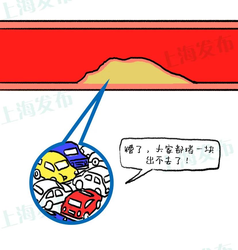 怎么看懂胆固醇体检报告,体检胆固醇高是因为高血脂么