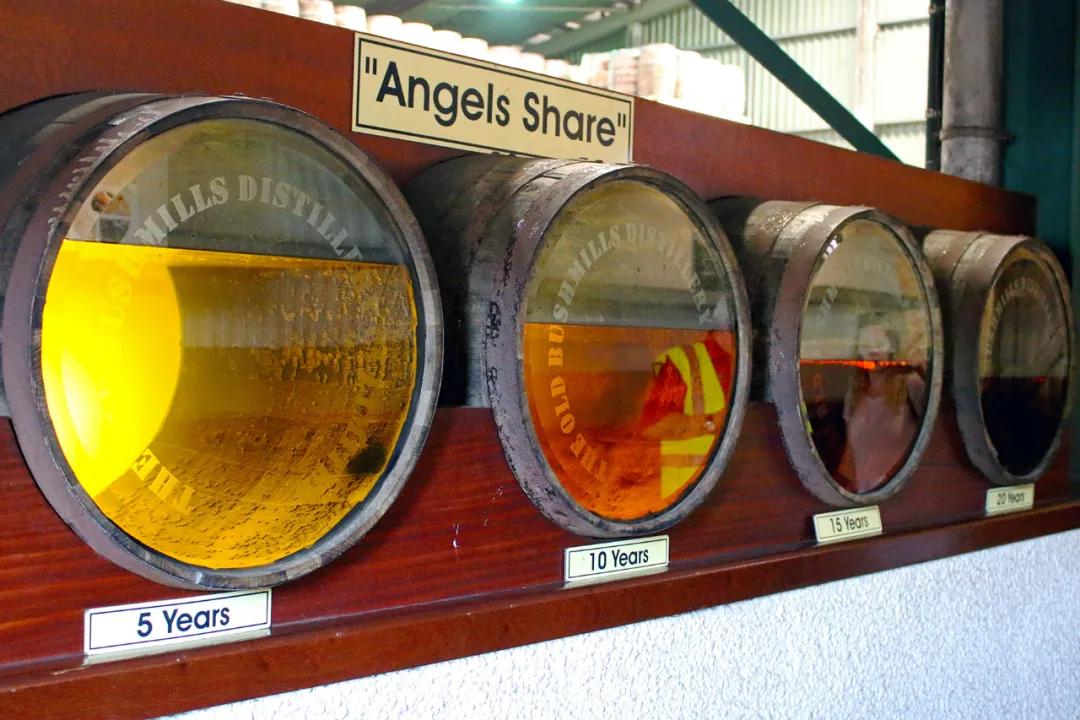 台湾威士忌有必要囤吗,台湾威士忌好喝吗