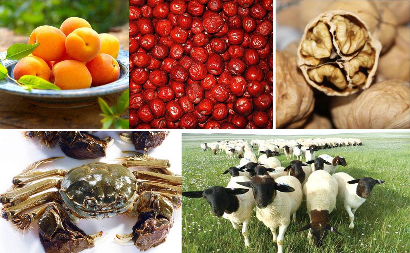 过年回家应该带啥特产?全国特产官方大搜罗