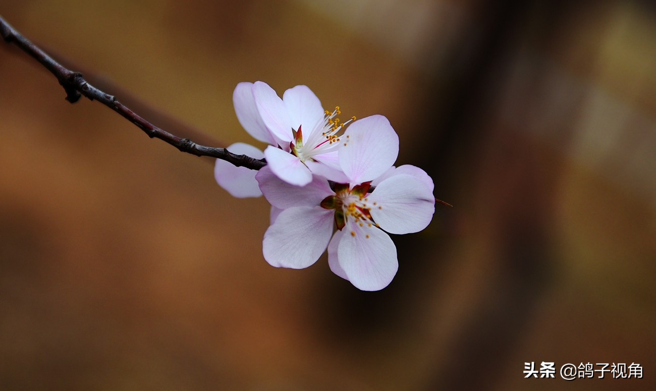难容之事不妨付之一笑,生气时能够坦然一笑是一种大度
