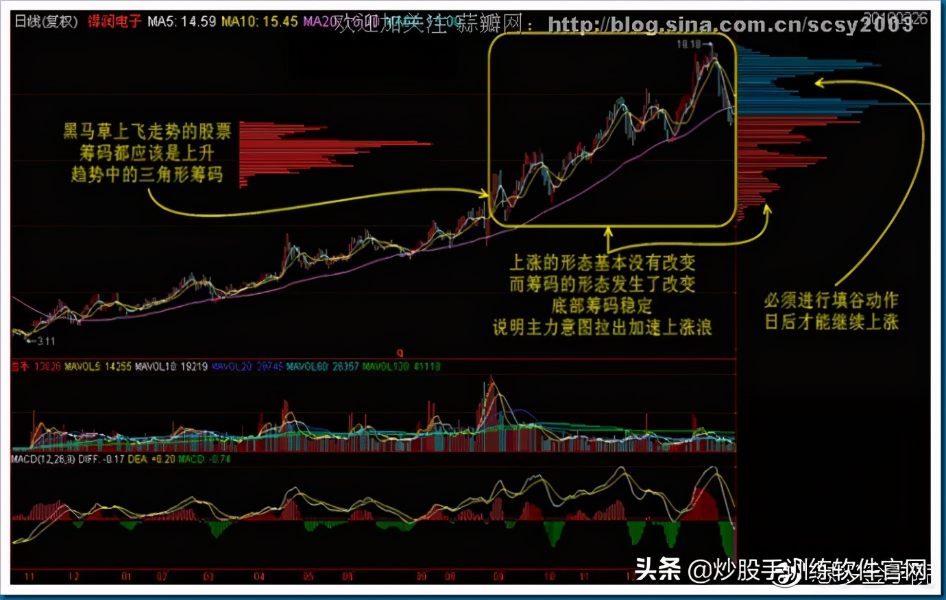 筹码分布图入门与技巧,筹码分布运用详解大全