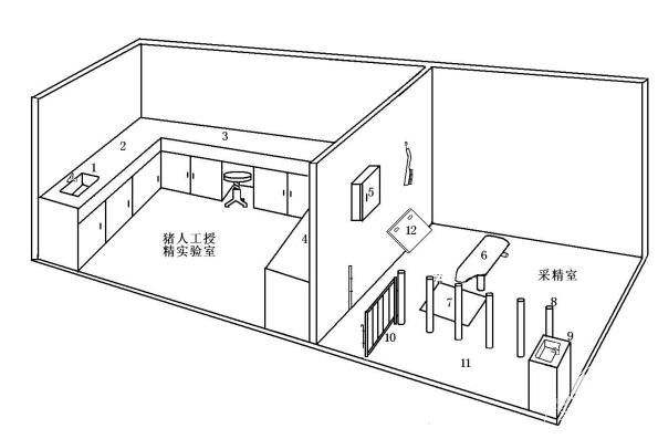 公猪怎么管理母猪,种公猪采集过程中准备哪些工作