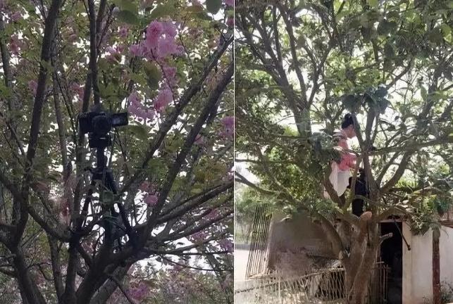 一位教师的辞职信火了,一封辞职信火遍全网的女教师