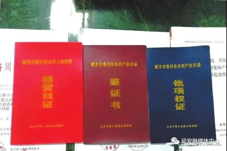 延安向全国人民交出优异答卷,延安改革创新