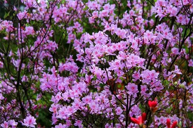 鍗佸牥51鍑鸿鏀荤暐,婀栧寳鍗佸牥鏃呮父鏀荤暐浜斾竴