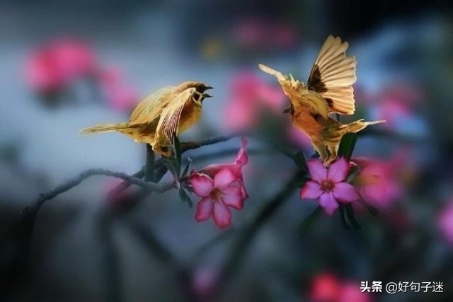 人生感悟英文短句子，句句入骨，看完你会明白很多！