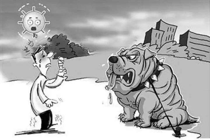 不文明养犬承担什么责任,不文明养犬行为将负法律责任