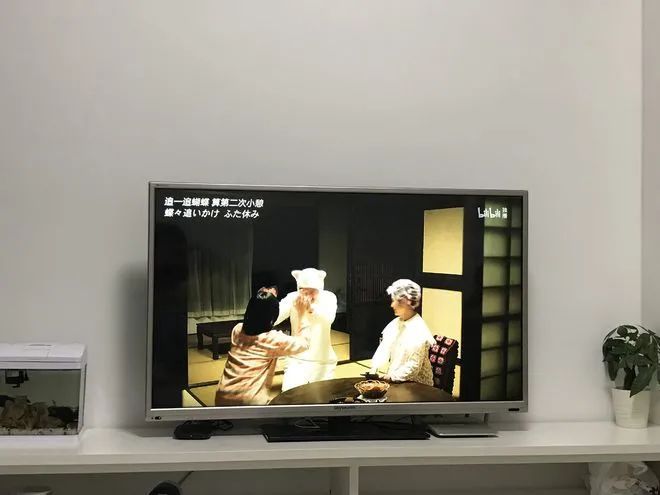 广州租500元一个月的房子 (在广州租个三居室多少钱)