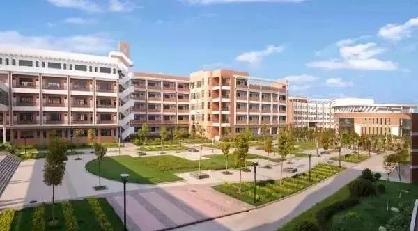 合肥挤破头想进的9所小学,挤破脑袋都想进的学校