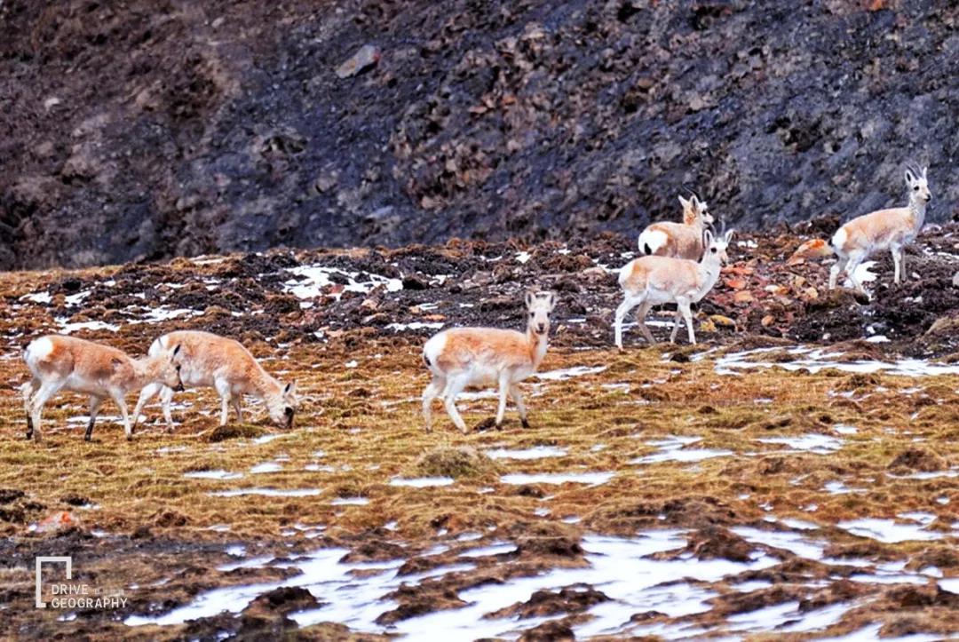 老司机带你跑十天高速,34小时1600公里拉力赛世界纪录
