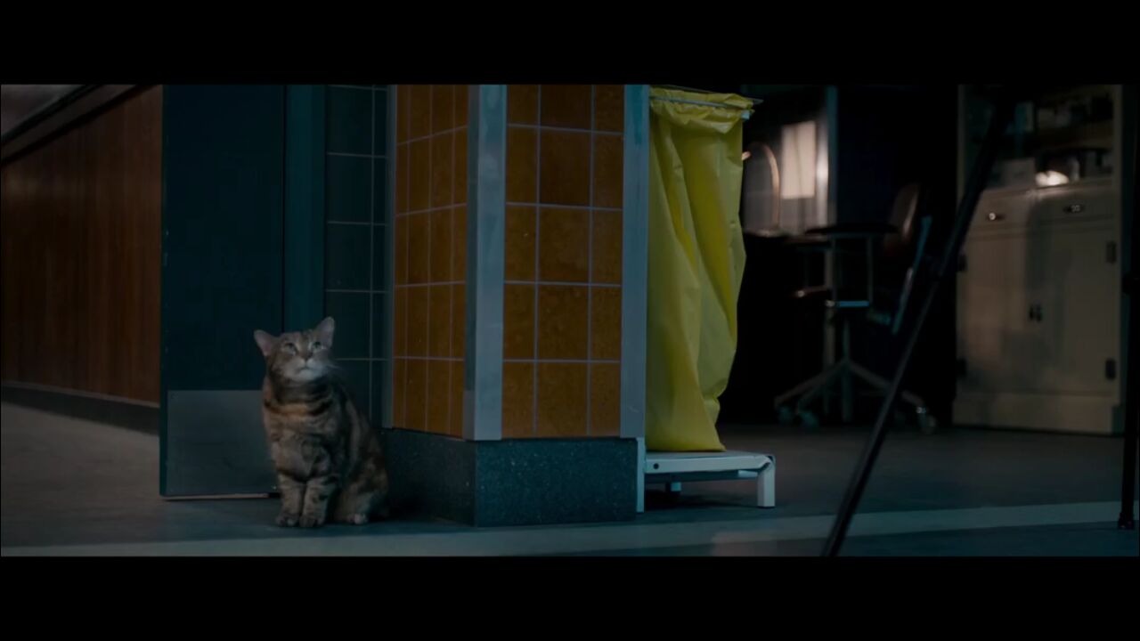 女主角竟是绝色女尸？含爱情、亲情的精彩惊悚片——《无名女尸》