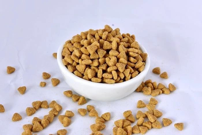 什么情况下猫粮能吃死猫,进口食品需要注意什么