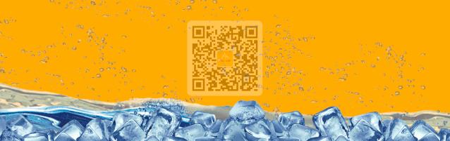 喜讯—冰峰荣获“陕西老字号”称号