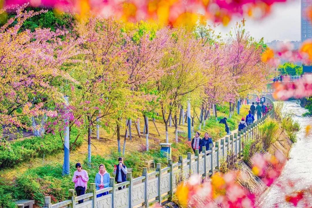 收藏！吐血整理《2019攀枝花大全》，看完秒变“地道”攀枝花人~